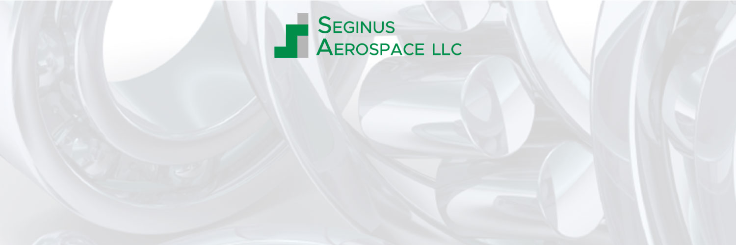 Seginus Logo